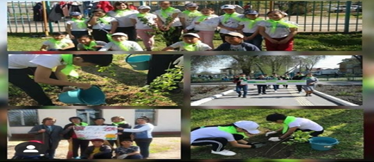 Экологическая акция Охраны окружающей среды и экологии.