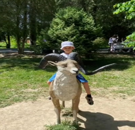 06.07.21г. Челлендж « Одинь день моего лета!».