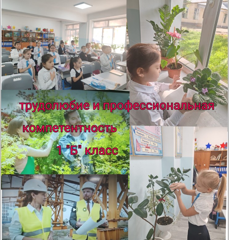 «Еңбекқорлық және кәсіби біліктілік»